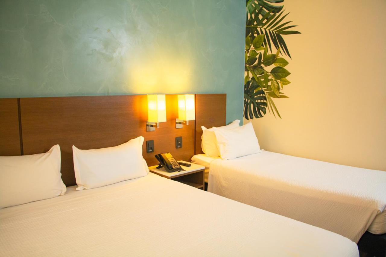 Ibis Styles Curitiba Aeroporto Hotel Sao Jose dos Pinhais Luaran gambar